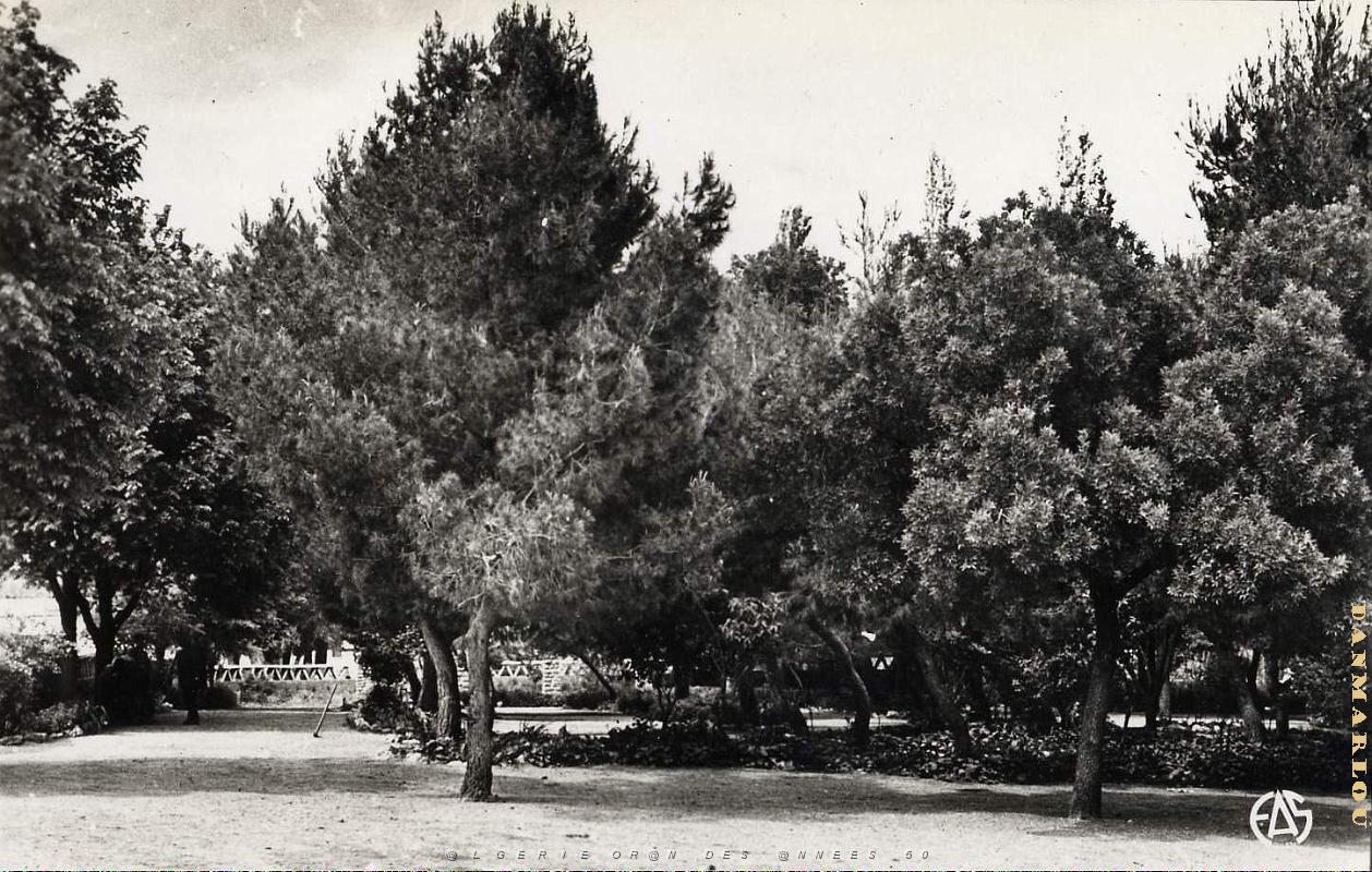Aflou 506- Jardin public COLLECTION DES AMIS DE ND DE SANTA CRUZ.jpg